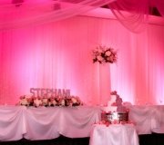 Pink Quince Backdrop